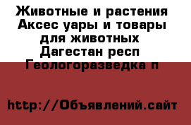 Животные и растения Аксесcуары и товары для животных. Дагестан респ.,Геологоразведка п.